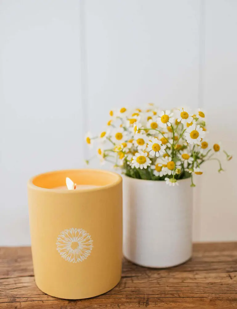 Sun Washed Citrus 12 Oz Scented Candle - Image 4