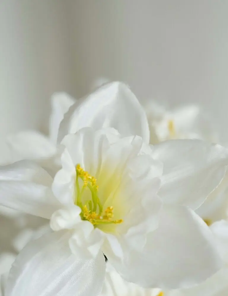 Enchanted Blossom 100 Ml Perfume Oil Rollerball - Image 2