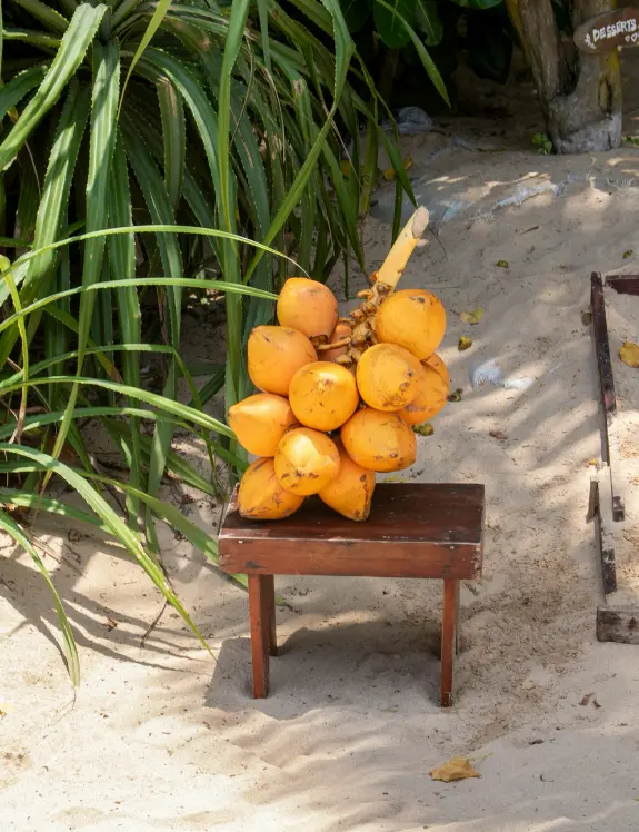 Coconut Blossom 50 Ml Perfume Oil Dropper - Image 2
