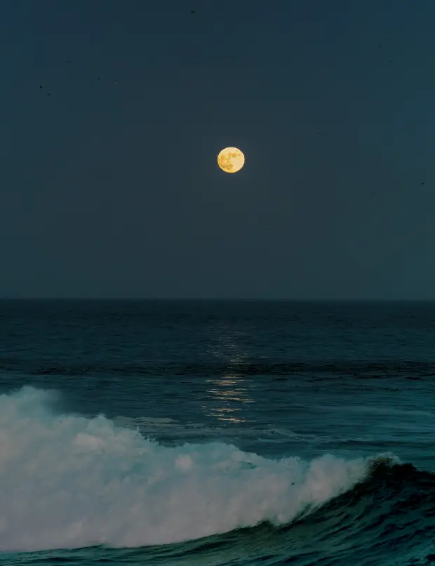 Tides Of The Moon 25 Oz Scented Candle - Image 2