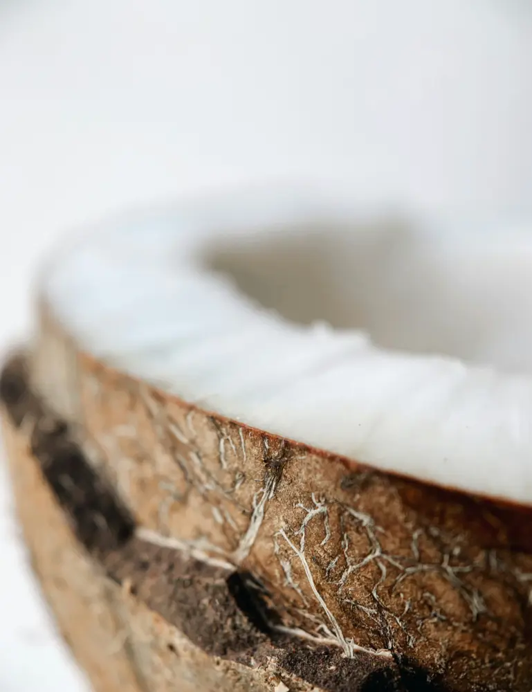 Coconut & Vanilla 15.7 Oz Liquid Hand Soap - Image 3