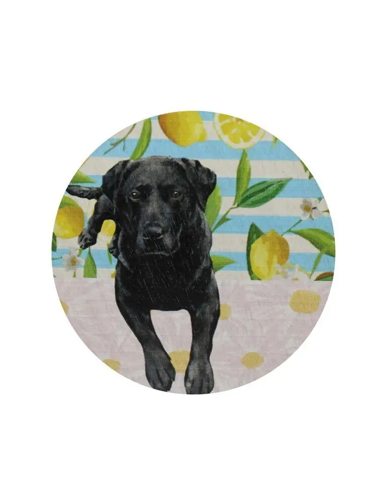 Sand + Paws Tropical Citrus 12 Oz Scented Candle - Image 4