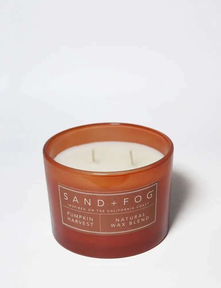 Pumpkin Harvest 12 Oz Scented Candle - Image 3