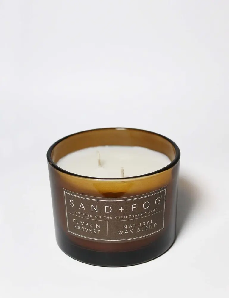 Pumpkin Harvest 12 Oz Scented Candle - Image 3