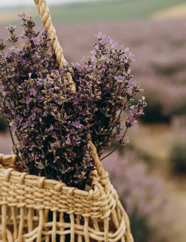 Cedar & Lavender 100 Ml Room Spray - Image 2