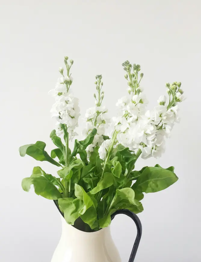 White Flowers 12 Oz Scented Candle - Image 2