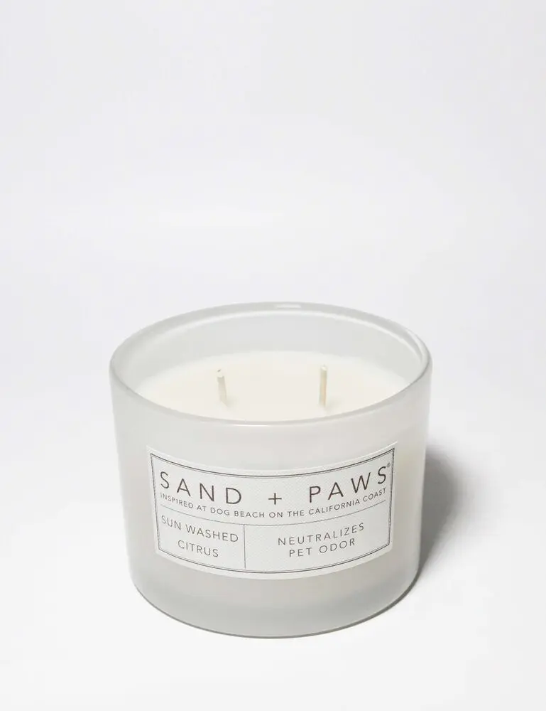 Sand + Paws Sun Washed Citrus 12 Oz Scented Candle - Image 3